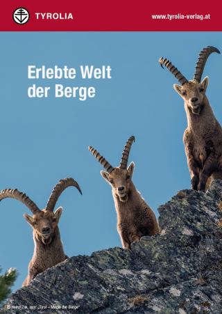 U1 Themenfolder Berge