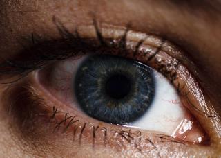 Auge
