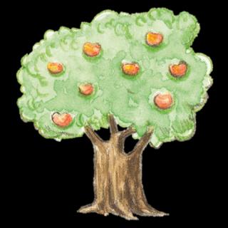 Baum
