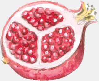 Symbol Granatapfel